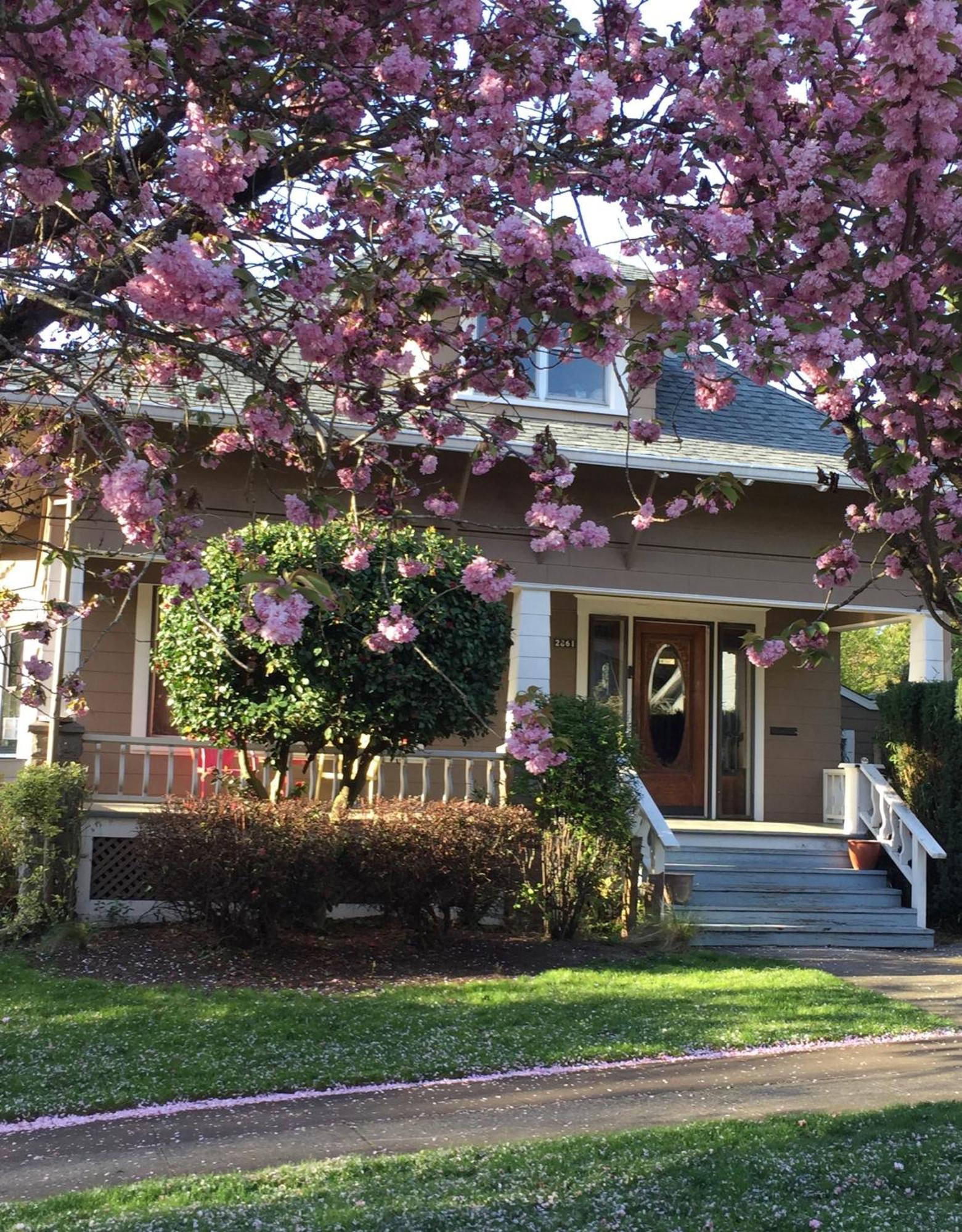 Southeast Portland Comfy & Eclectic Craftsman Home Eksteriør bilde